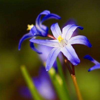 中企达展览掘金欧洲手册：助力20...